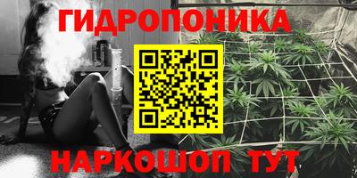 молекула духа Будённовск