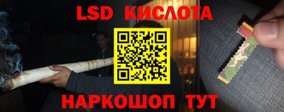 молекула духа Будённовск