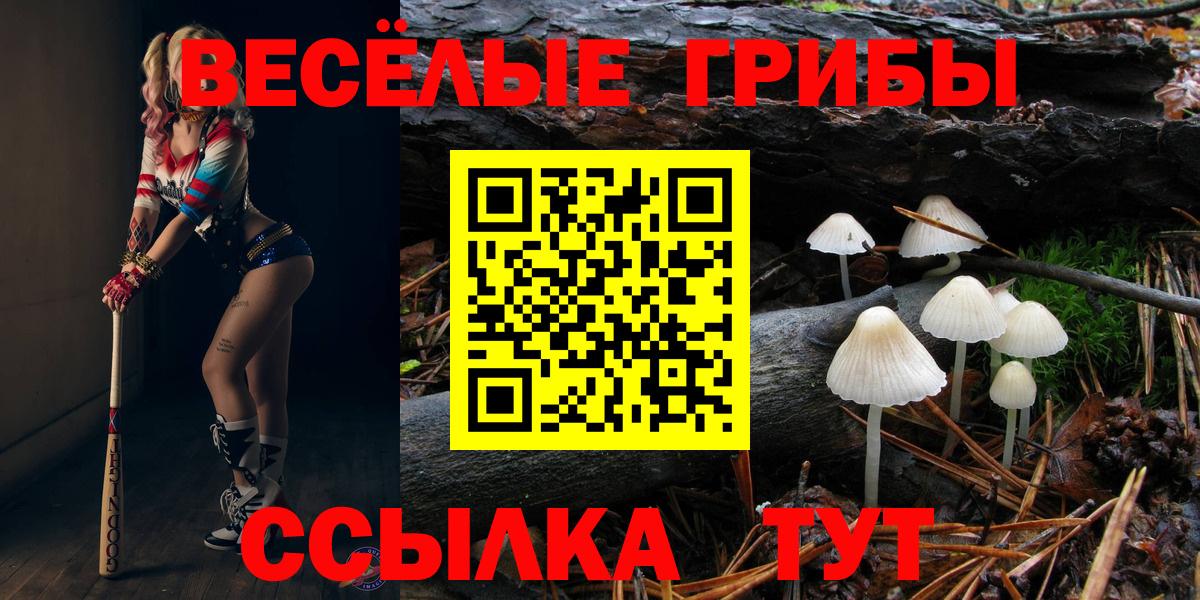 Ливны  Галлюциногенные грибы мухоморы  как найти закладки  Вход с VPN 